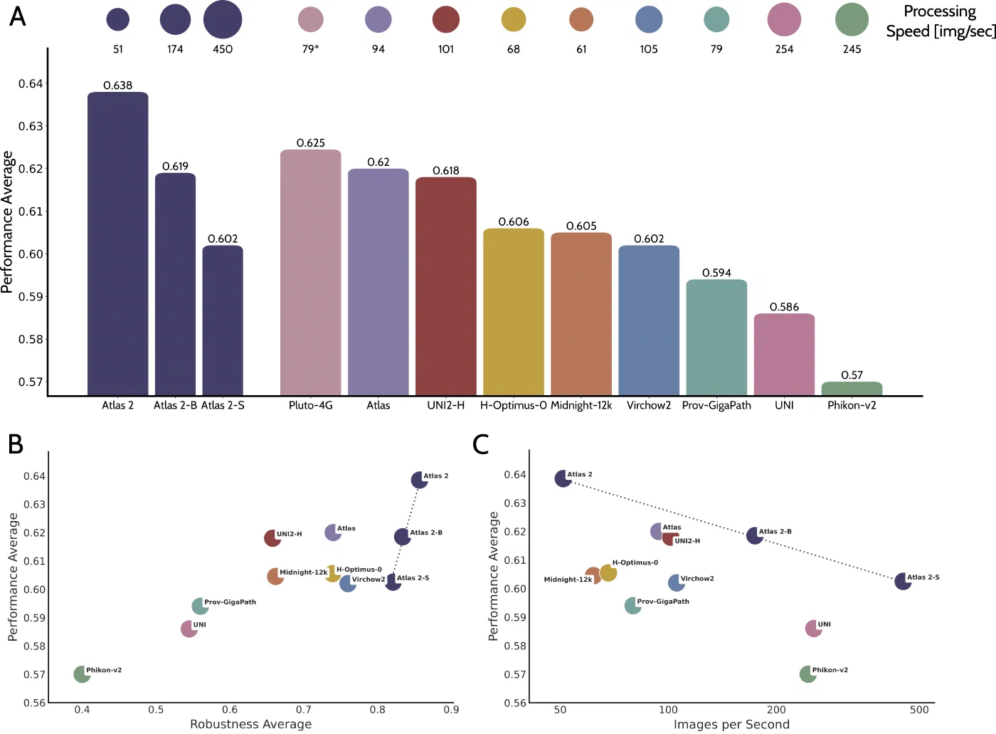 Overview of performance, robustness and processing speed of pathology models